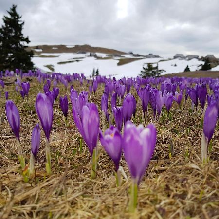 Chalet Gorenjka - Velika Planina Stahovica Bagian luar foto