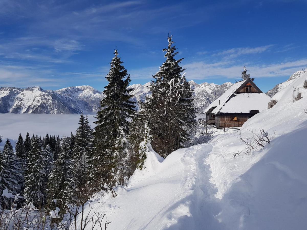 Chalet Gorenjka - Velika Planina Stahovica Bagian luar foto