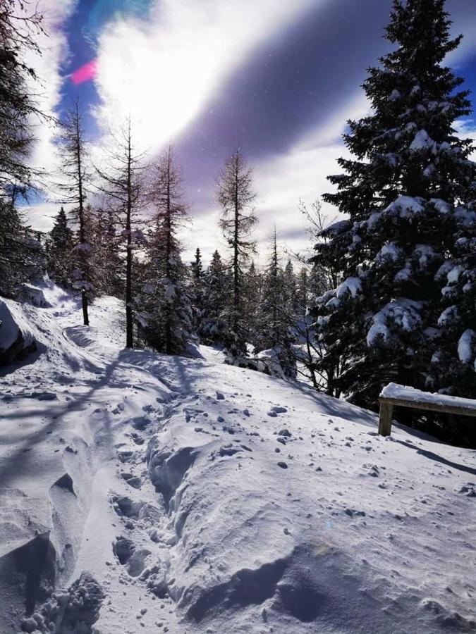 Chalet Gorenjka - Velika Planina Stahovica Bagian luar foto