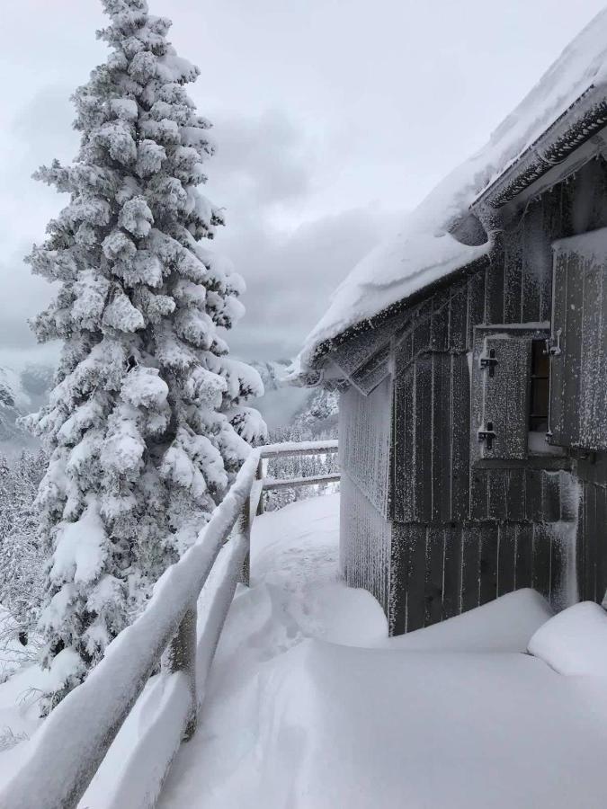 Chalet Gorenjka - Velika Planina Stahovica Bagian luar foto
