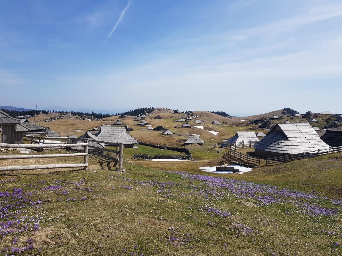 Chalet Gorenjka - Velika Planina Stahovica Bagian luar foto
